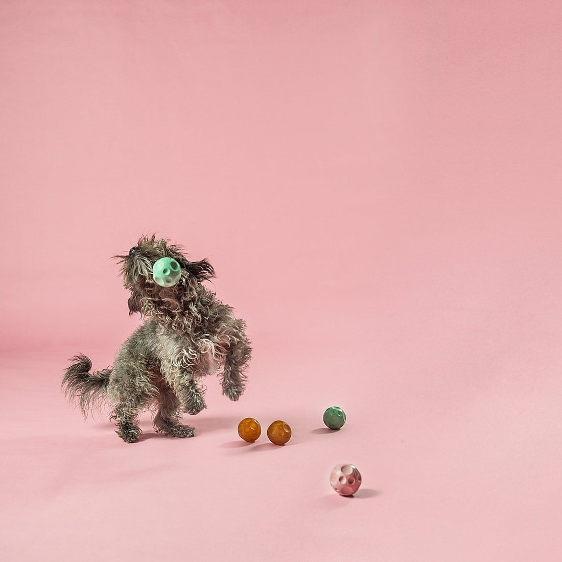 Hevea Moonball // Naturkautschukball mit Platz für Leckerlis (pink)