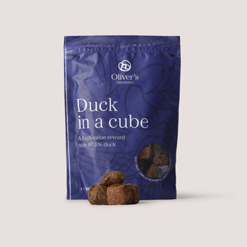 Signature Duck Cube // Store og bløde godbidder med and