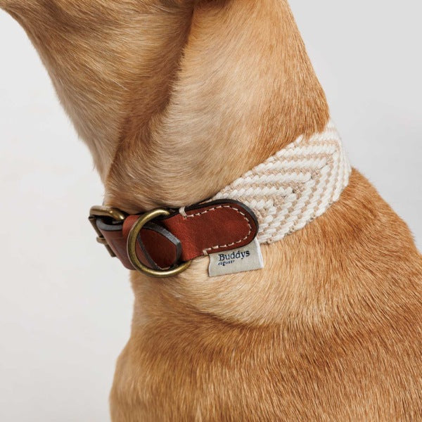 Buddys Dogwear Portixol Sand // Breites und leichtes Halsband (beige) –  Hunni