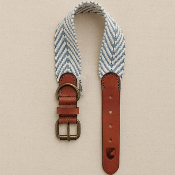 Buddys Dogwear Portixol Sea // Breites und leichtes Halsband (blau)