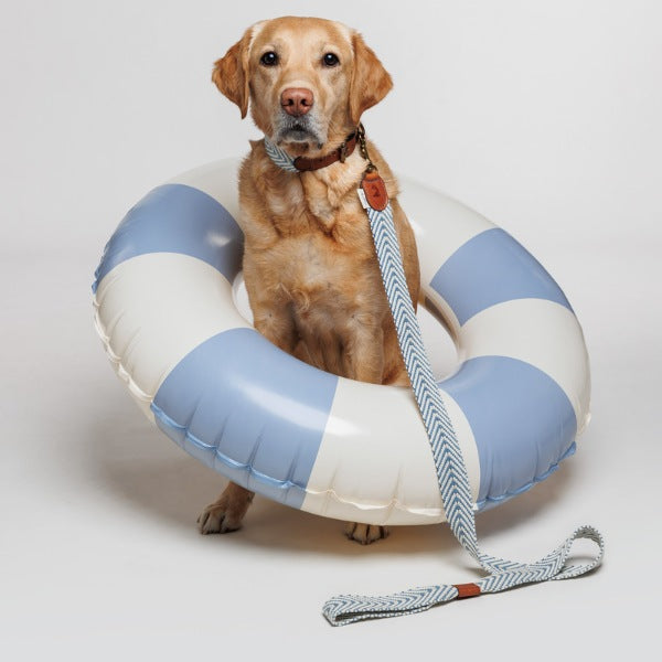 Buddys Dogwear Portixol Sea // Breite und leichte Leine (blau)