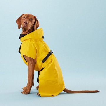Paikka Rain // Funktionelle Hunderegenjacke mit guter Passform (Gelb)