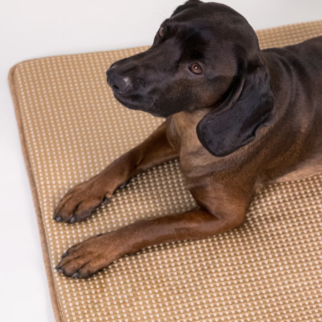 Paikka Cooling Blanket // Kühldecke aus selbstkühlendem Material (Taupe)