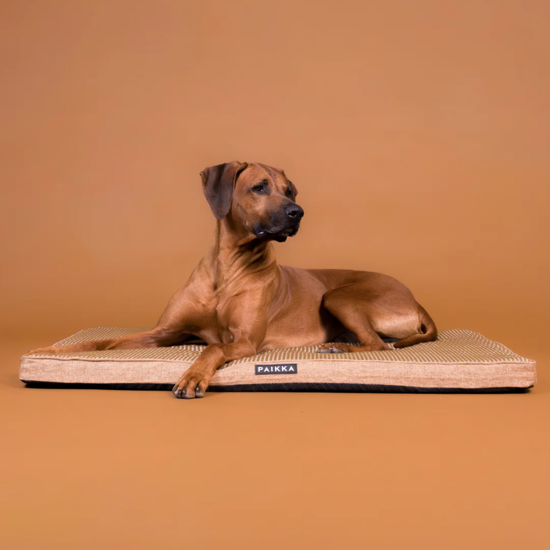 Paikka Cooling Mattress // Kühlendes Hundebett mit Memory Foam (Taupe)