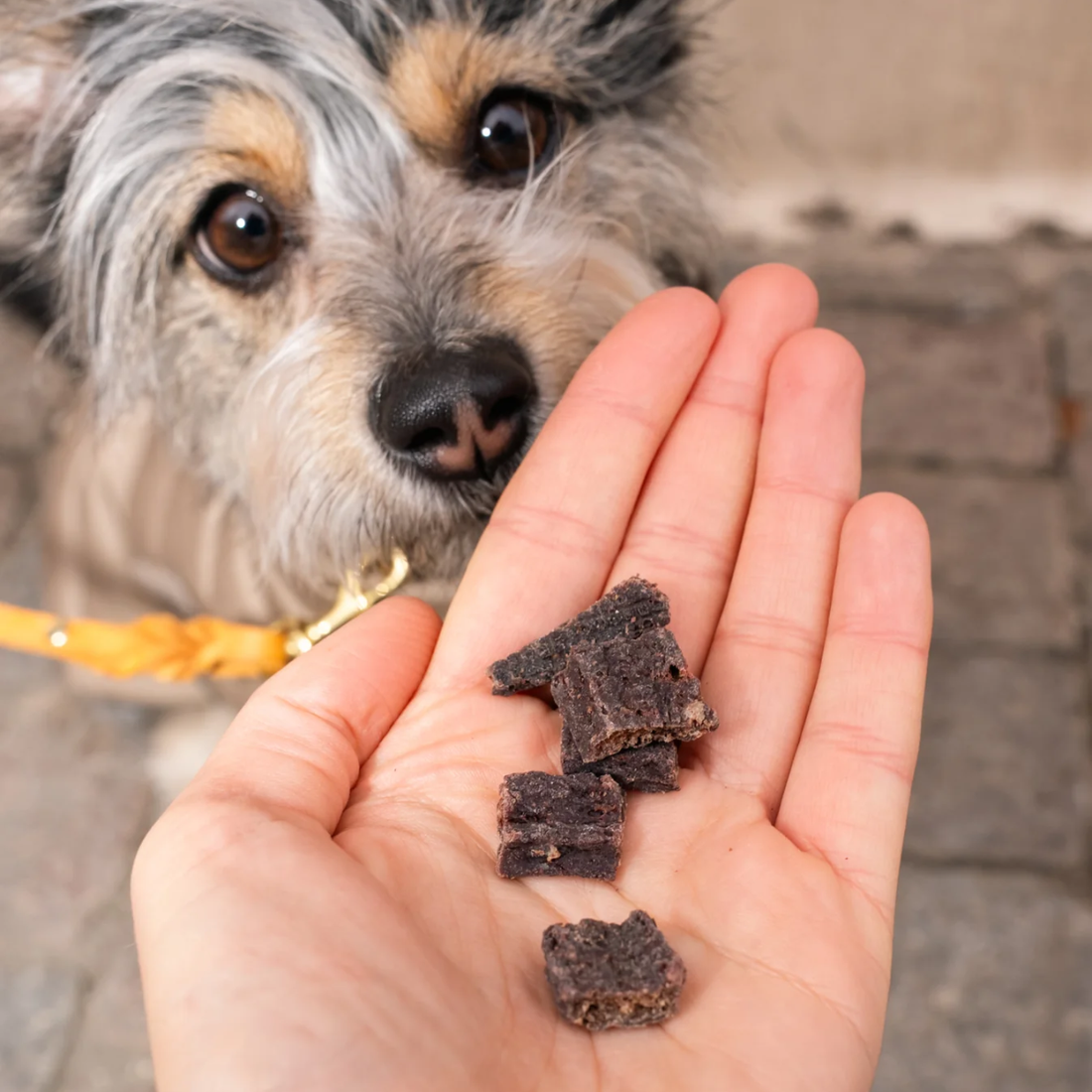 Pala Treat // Leckerer und natürlicher Leckerbissen aus 100 % Rinderherz