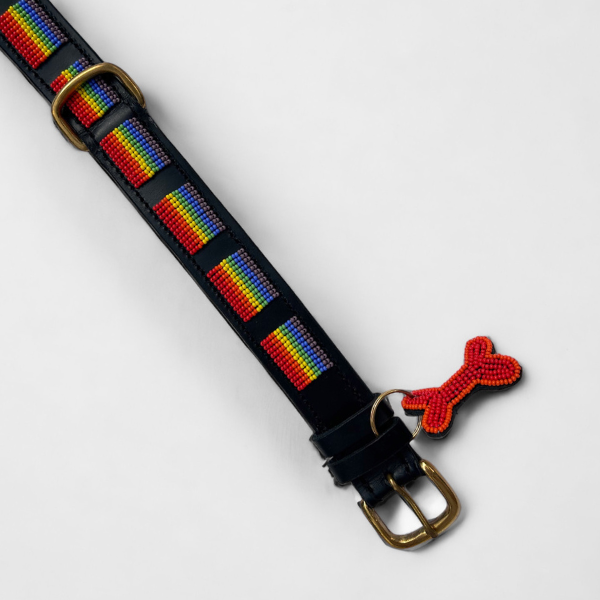 Zinj Rainbow // Handgefertigtes Hundehalsband mit Perlen (XL)