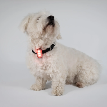 Reelight Switch Light // Genopladelig clip-on hundelygte (rød)