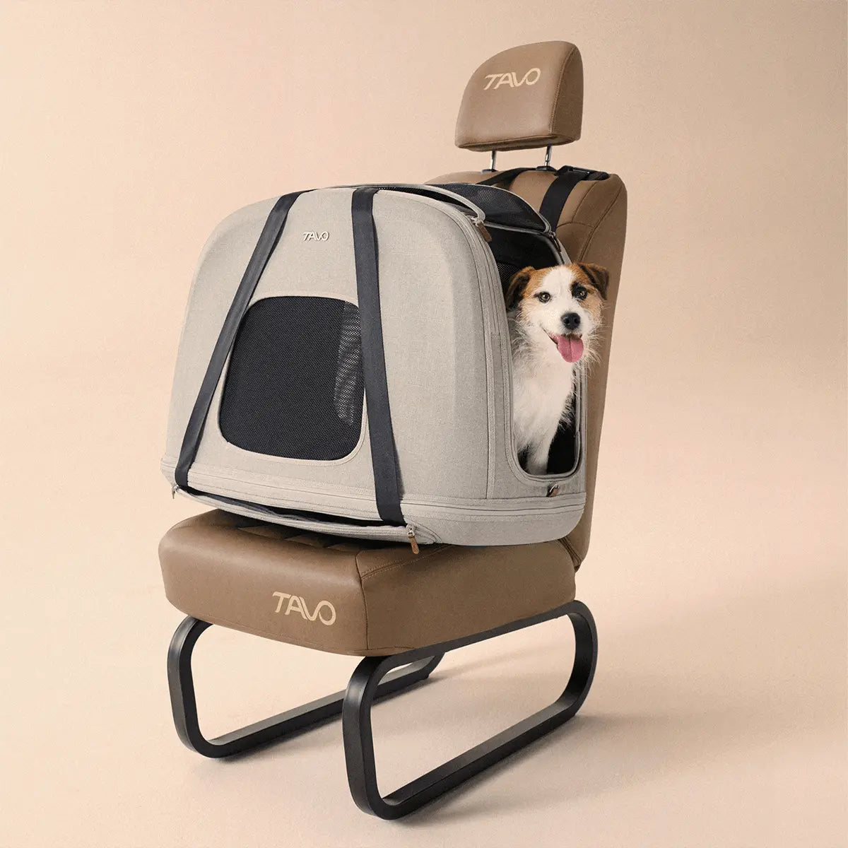 Tavo Crispin, Merle // Crashgetesteter Transportkäfig mit ISOFIX fürs Auto (M)