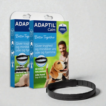 Adaptil Calm On-the-go-Halsband // Hilft Ihrem Hund, sich draußen und zu Hause sicher zu fühlen