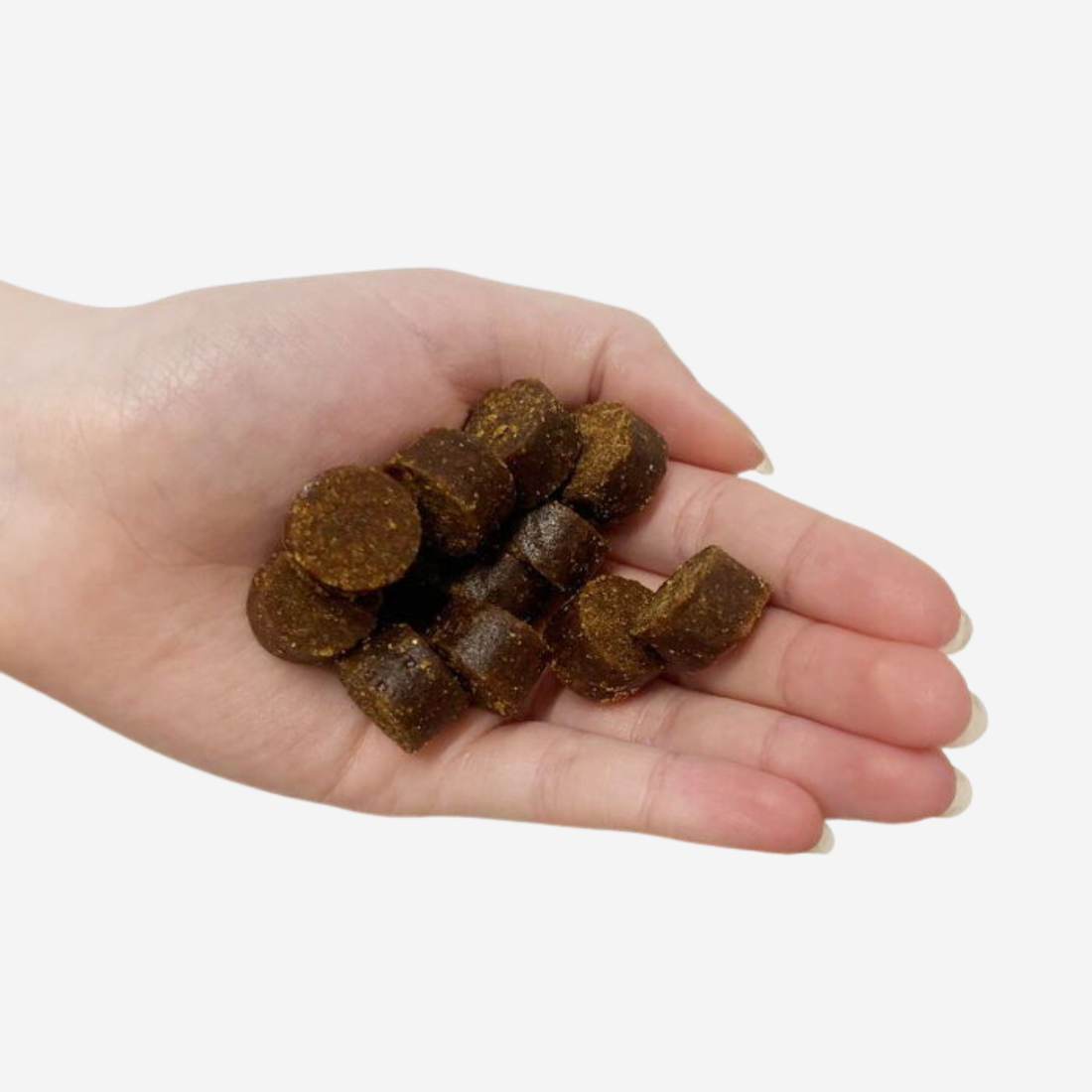 Aptus Relax® // Kauartikel, die bei Stress bei Ihrem Hund helfen