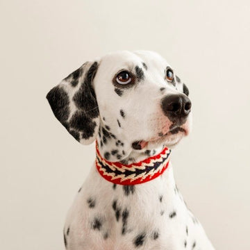 Buddys Dogwear Peruvian Arrow // Breites und leichtes Halsband (rot)