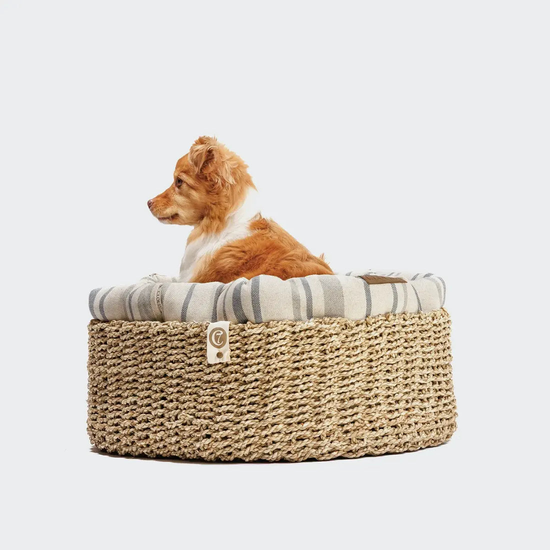 Cloud7 Basket Lazy // Runder Hundekorb mit weichem Innenkissen (blaue Streifen)