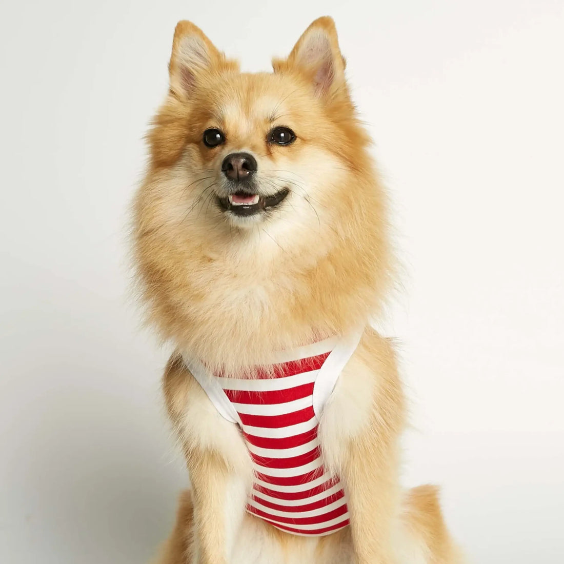 Daniel Bodysuit // Hundepullover aus Bio-Baumwolle (rot)