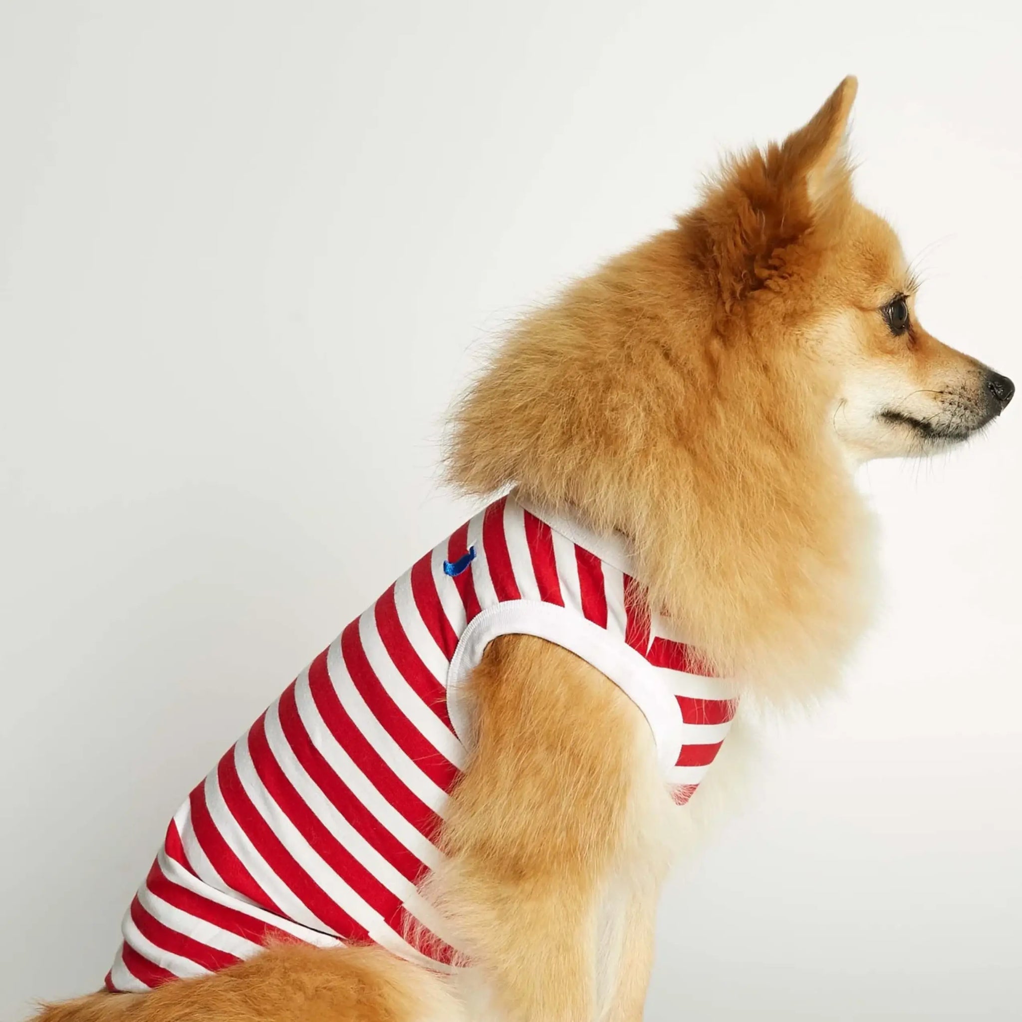 Daniel Bodysuit // Hundepullover aus Bio-Baumwolle (rot)