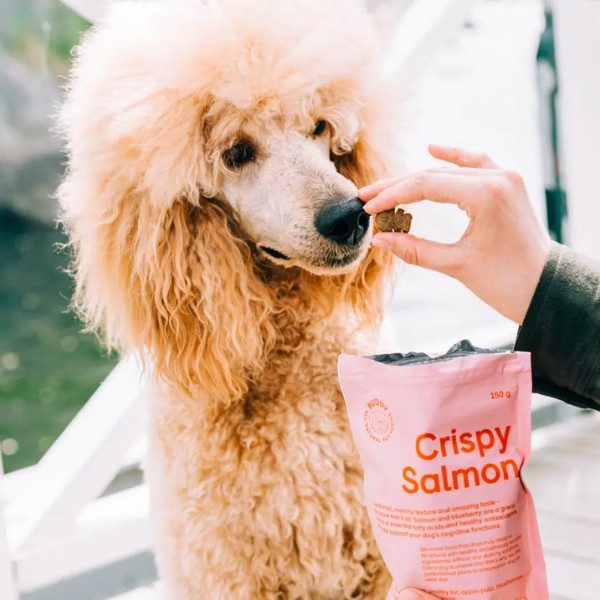 Buddy Crispy Salmon // Knusprige Leckereien mit Lachs und Erbsen