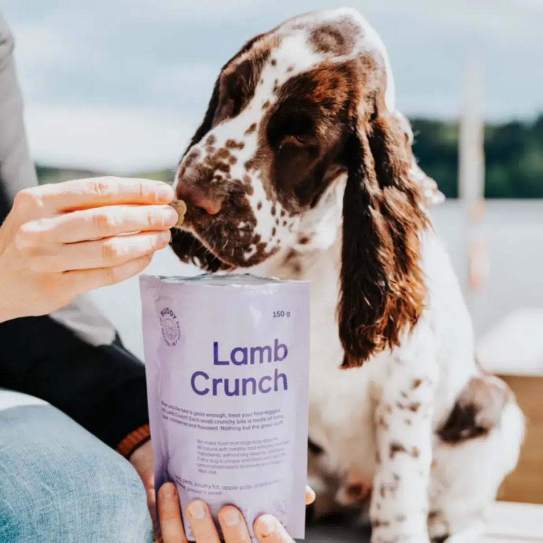 Buddy Lamb Crunch // Knusprige Leckereien mit Lamm und Cranberries