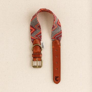 Buddys Dogwear Peruvian Pikes // Bredt og let halsbånd (orange)