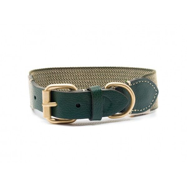 Buddys Dogwear James Green // Breites und leichtes Halsband (grün)