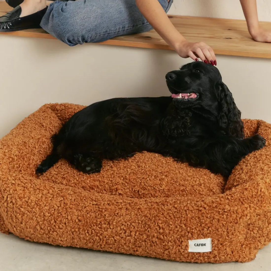 Cafide Snozy // Weiches und waschbares Teddy-Hundebett (Senf)