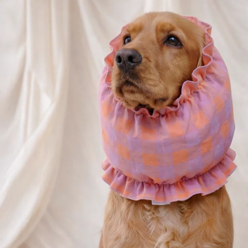 Cafide Snood // Beskyttende hætte til hunde med lange øre (violet vichy)