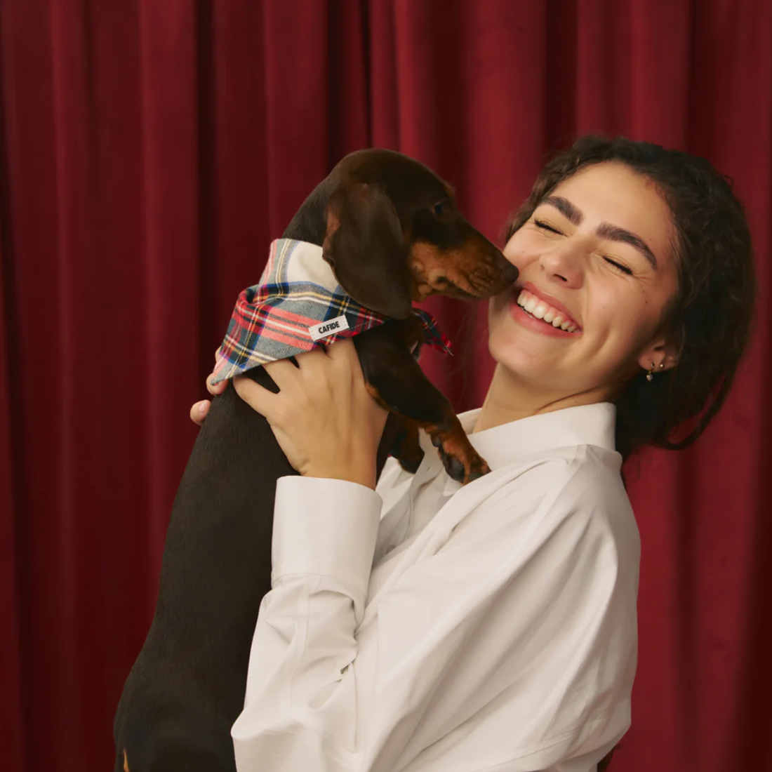 Cafide Bandana // Hundebandana i bomuld (dress stewart)