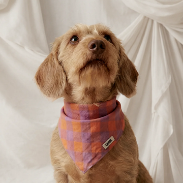Cafide Bandana // Hundehalstuch aus Baumwolle (violett Vichy)