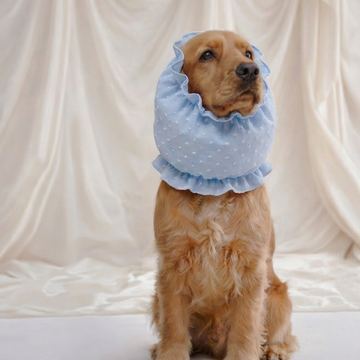 Cafide Snood // Beskyttende hætte til hunde med lange øre (blue plumeti)