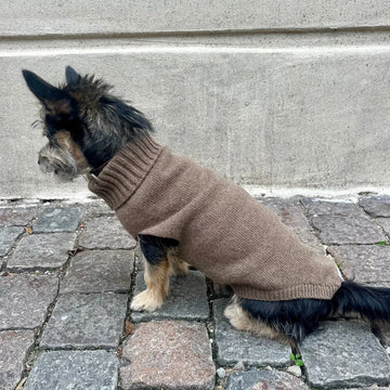 Calimar Sweater // Gestrickter Hundepullover aus Wolle (braun)