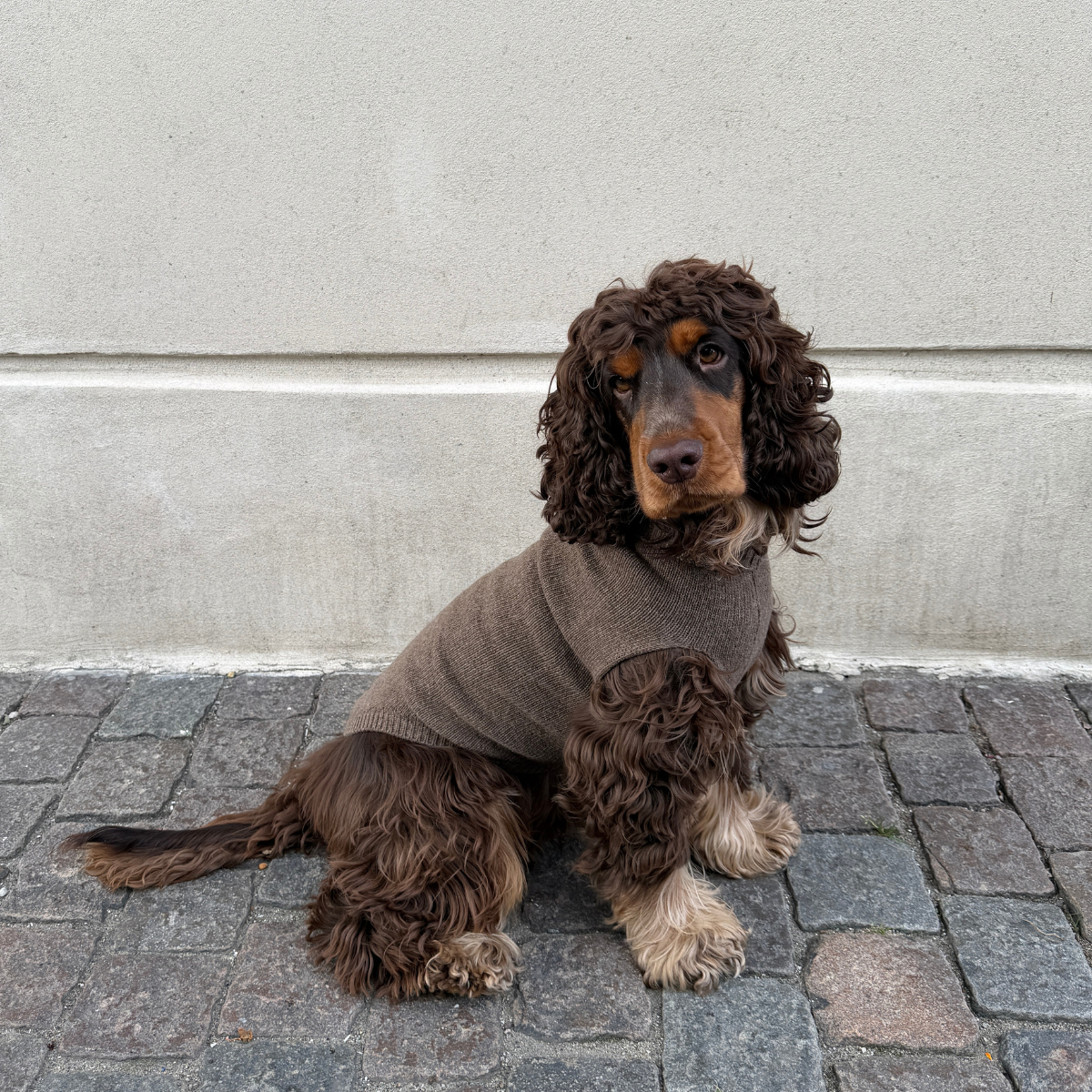 Calimar Sweater 2.0 // Strikket hundesweater i uld (brun)