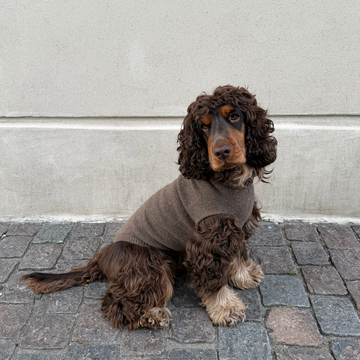 Calimar Sweater 2.0 // Strikket hundesweater i uld (brun)