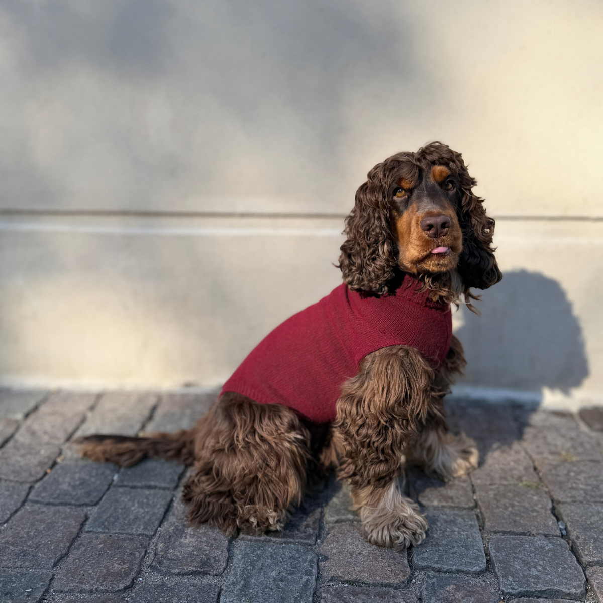 Calimar Sweater 2.0 // Strikket hundesweater i uld (bordeaux)