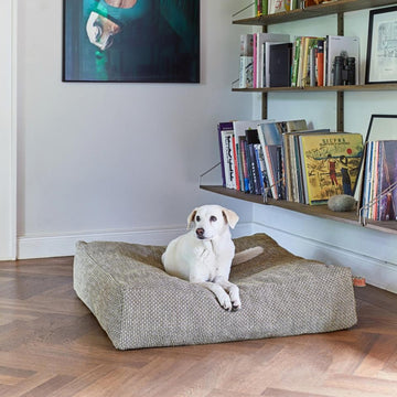 Cloud7 Cube // Luxus-Hundekissen im exklusiven Design (Chenille Dots)