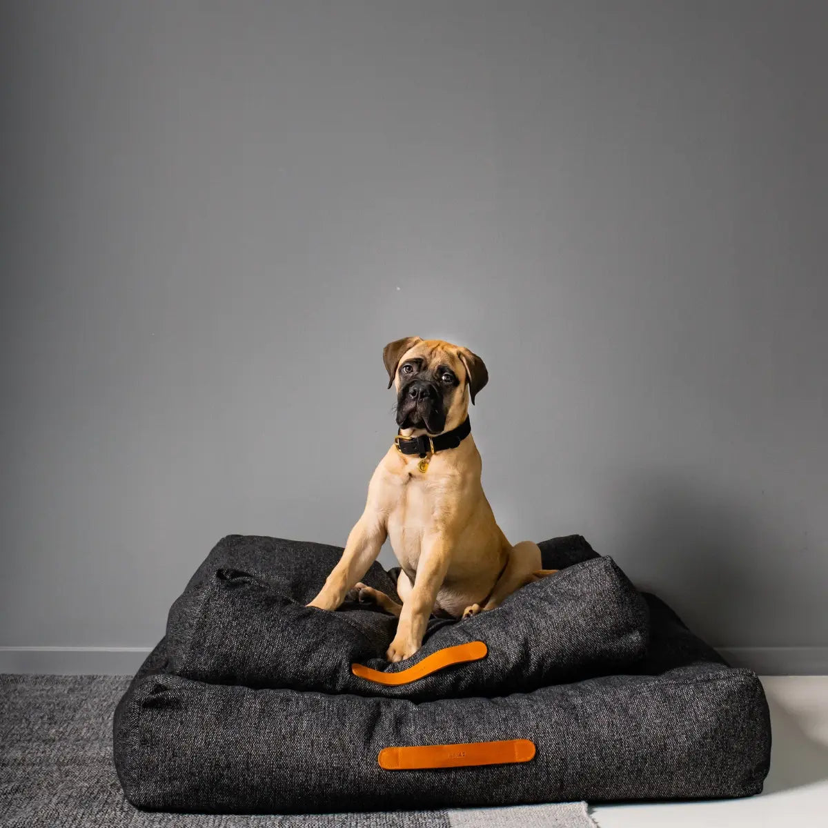 Cloud7 Homey // Weiches Hundekissen (anthra)