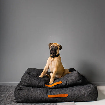 Cloud7 Homey // Weiches Hundekissen (anthra)