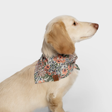 Cloud7 LTTL Bandana // Hundehalstuch für Welpen und kleine Hunde (blossoms)