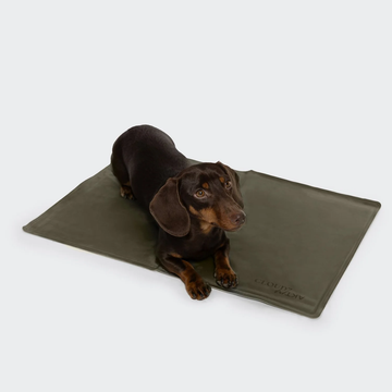 VORBESTELLUNG: Cloud7 ACTIVE Cooling Mat // Selbstkühlende Matte für heiße Tage (olive)