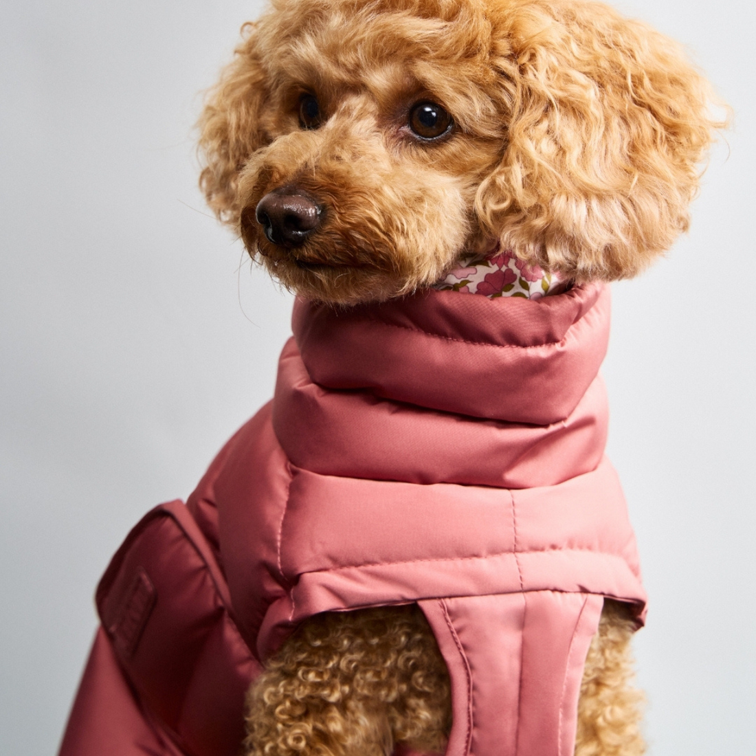 Cloud7 Alaska // Ekstra varm vinterjakke til hunde (faded rose)