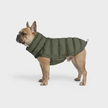 Cloud7 Alaska, Französische Bulldogge // Extrawarme Winterjacke (light olive)