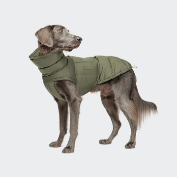 Cloud7 Alaska // Extra warme Winterjacke für Hunde (helloliv)