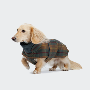 Cloud7 Brooklyn, Dackel // Warme und wasserabweisende Hundedecke (gewachstes Tartan)