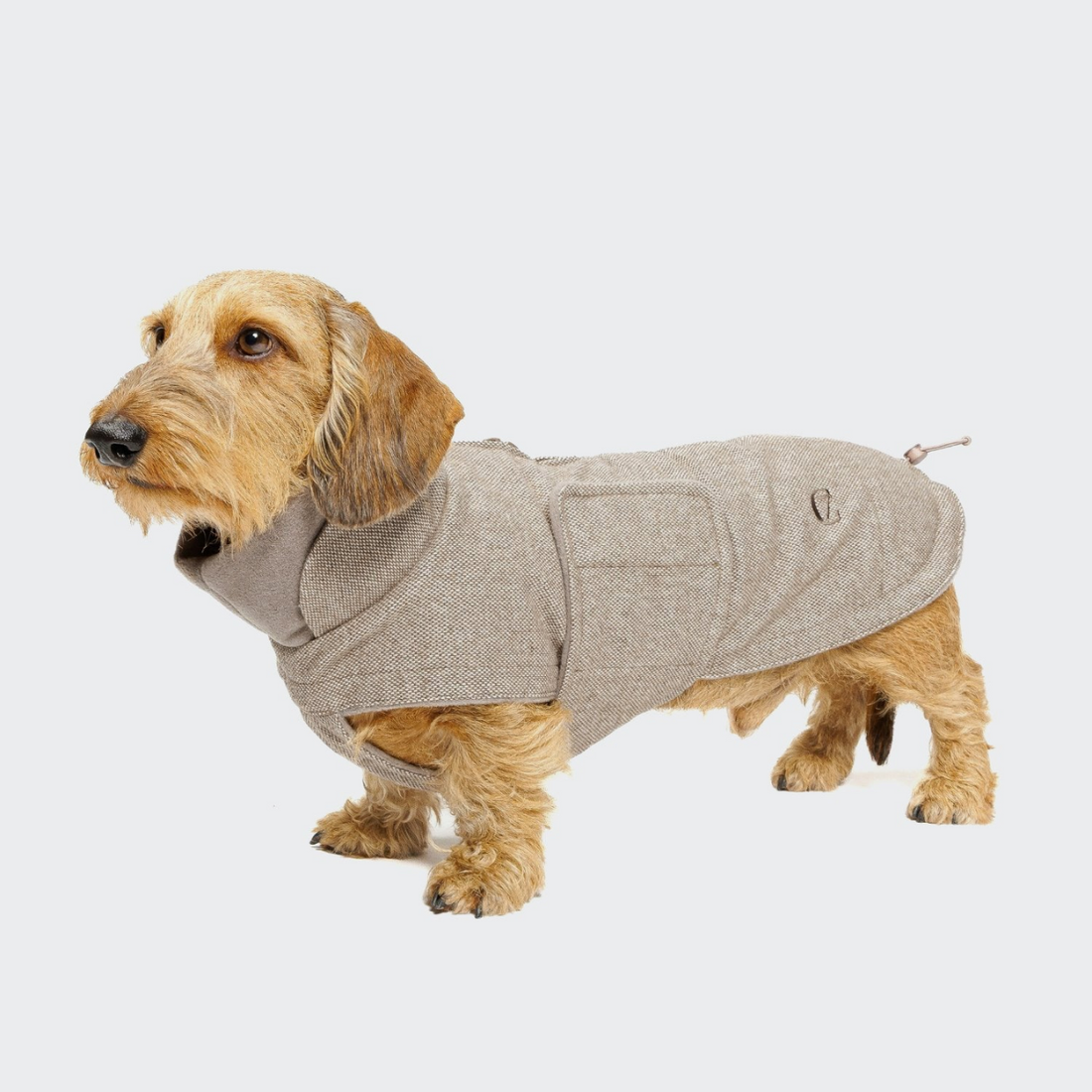 Cloud7 Brooklyn, Dackel // Warme und wasserabweisende Hundejacke (Tweed Beige)
