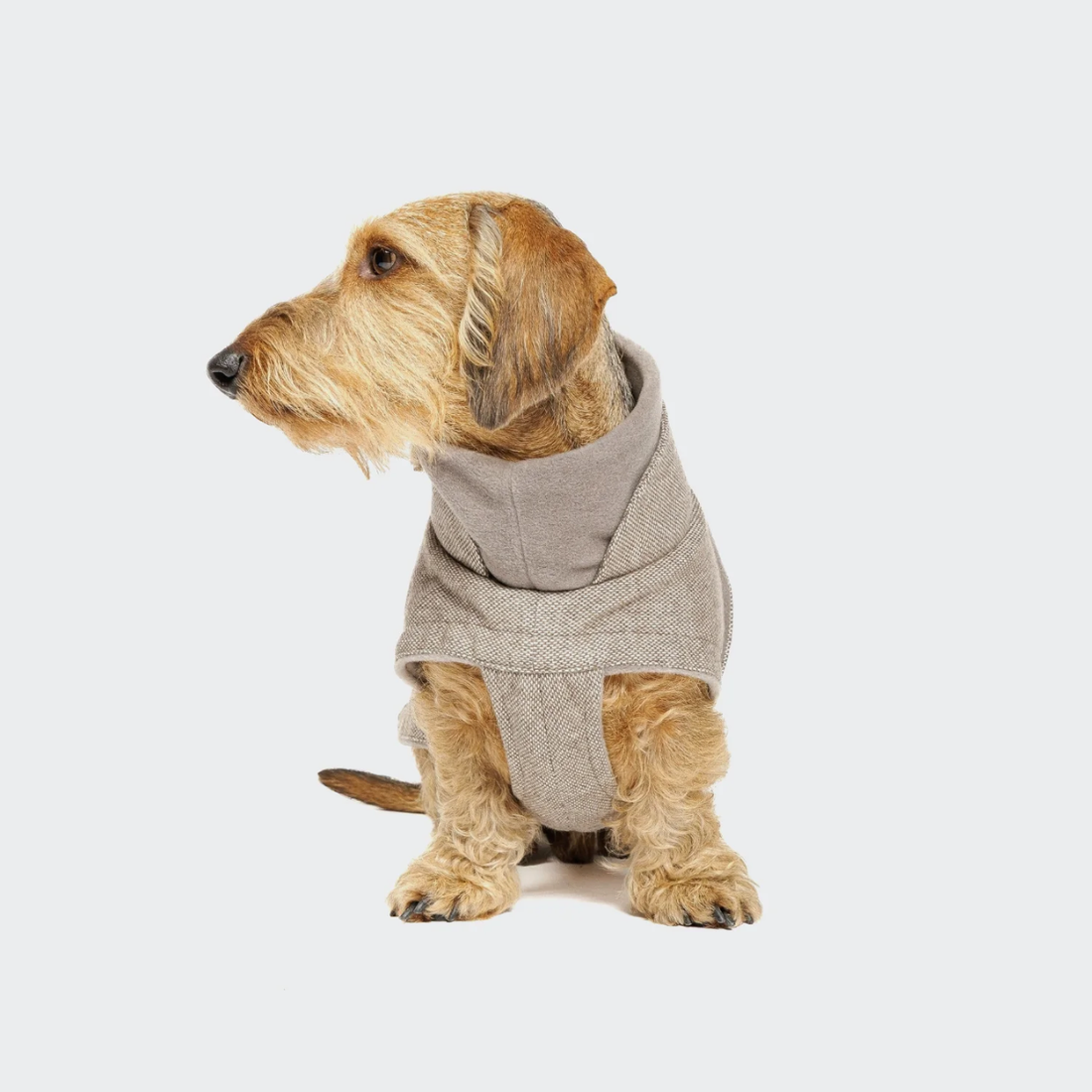 Cloud7 Brooklyn, Dackel // Warme und wasserabweisende Hundejacke (Tweed Beige)