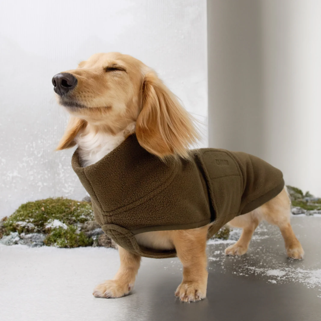 Cloud7 Derby, Gravhund // Varm og blød hundesweater (coffee)
