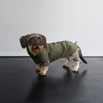 Cloud7 Dublin 2.0, Dackel // Wasser- und winddichte Regenjacke (dunkeloliv)