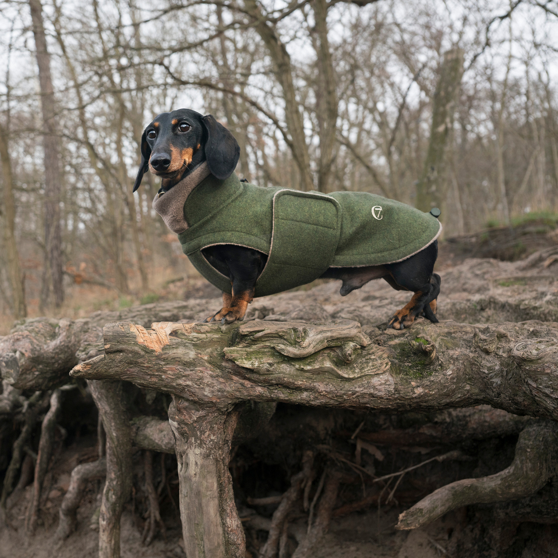 Cloud7 Brooklyn, Dackel // Warme Hundedecke aus Wolle (anthra)