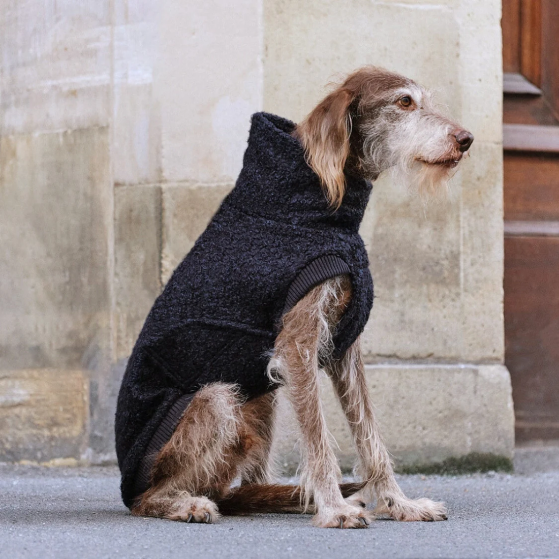 Cloud7 Gotland // Varm og blød hundesweater i bouclé (anthra)