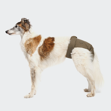 Cloud7 Hundehöschen // Läufigkeitshöschen mit guter Passform (oliv)