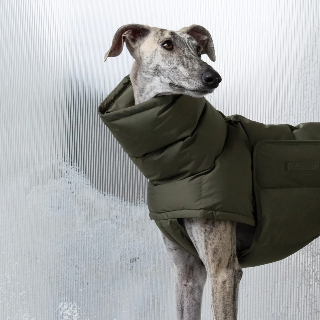 Cloud7 Alaska // Extra warme Winterjacke für Hunde (helloliv)