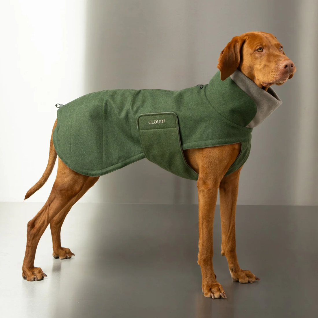Cloud7 Brooklyn Long // Warme und wasserabweisende Hundedecke (Farngrün)