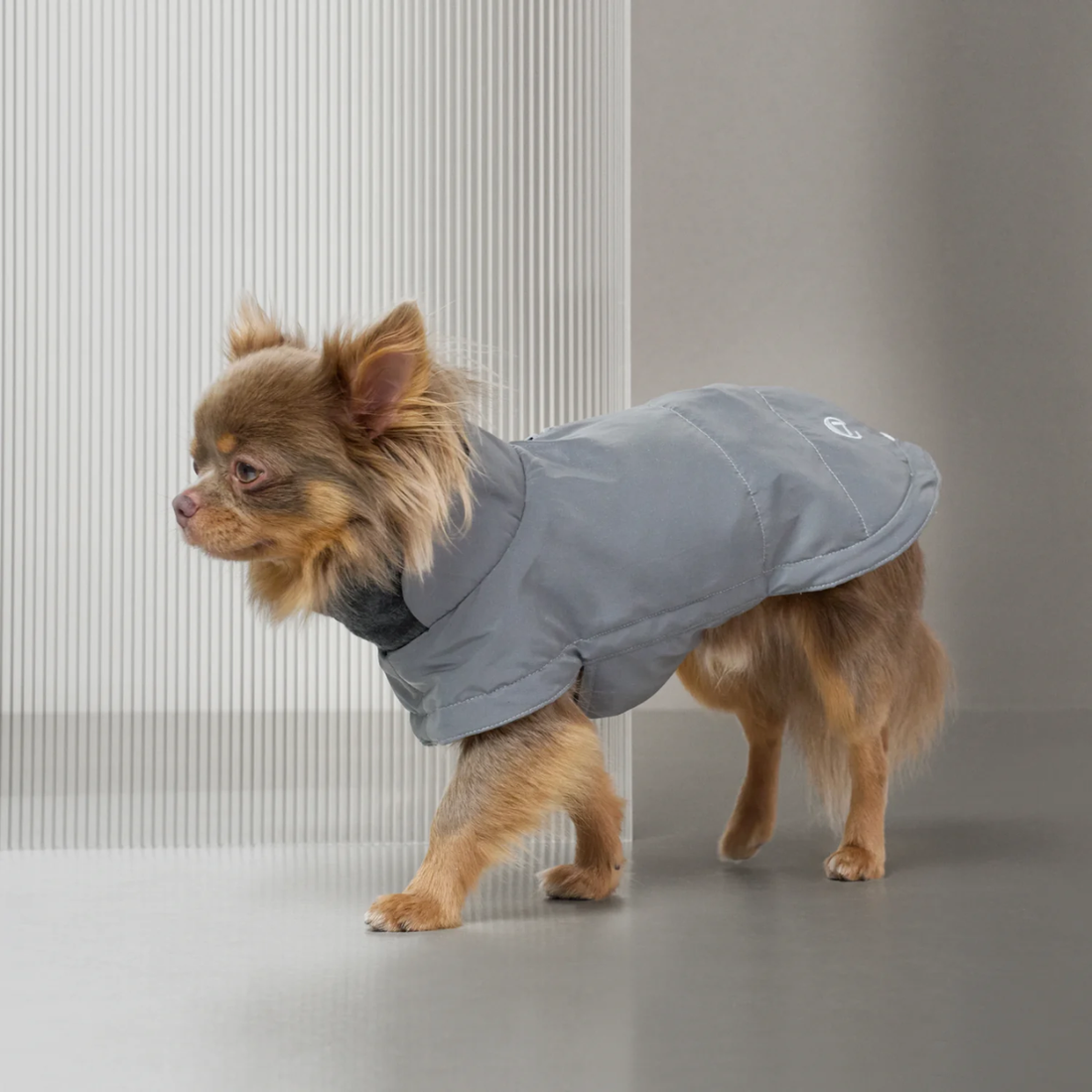Cloud7 Brooklyn // Warme und wasserabweisende Hundedecke (reflektierend)